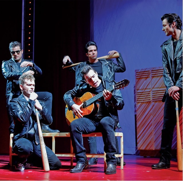 img-max Grease, Musical, John Travolta, Olivia Newton-John, Hamburg, Theater, Jubiläum, Gewinnspiel, Tickets gewinnen, HEIDI VOM LANDE, Bergedorf Blog, Der Blog aus Hamburg-Bergedorf