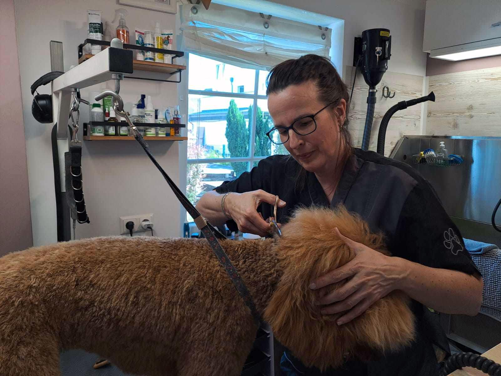 Vera Lukas, Hundefriseur, Hundefrisör, Hundesalon, Fellpflege, Behandlung, Groomer, Grooming, Zahnpflege, Waschen, Fönen, Baden, Schneiden, Ernährungsberatung, Bergedorf, Hamburg, Norddeutschland, Vier- und Marschlande, Fellnasen, Best Buddies, Veras Hundehütte, Bezirk Bergedorf, Gewinnspiel