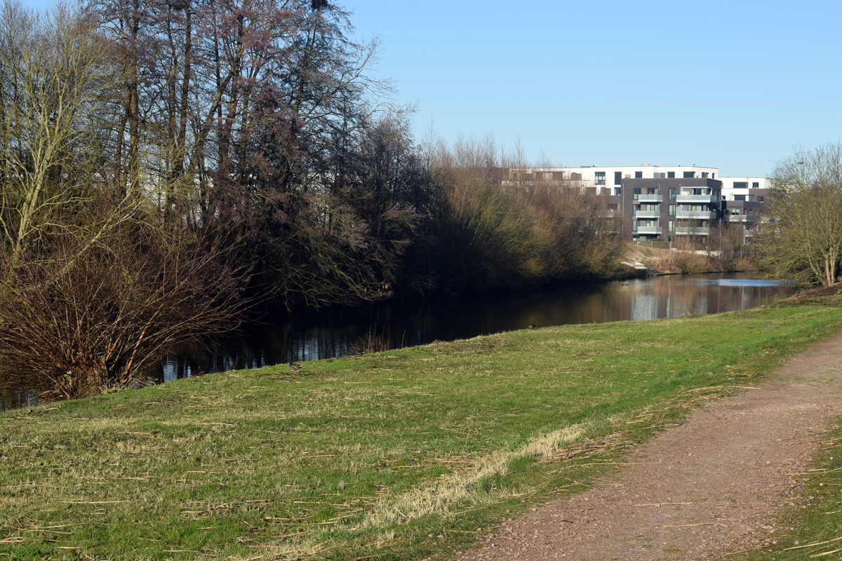 Baumaßnahmen, Flachwasserzonen, Wanderwege, Schleusengraben Ost, Bezirk Bergedorf, Bergedorf, Wasserbau, Wegebau