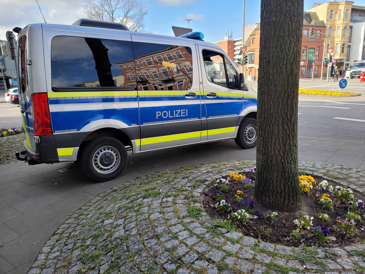 Mohnhof, Bepflanzung, Verkehrsinsel, Verkehrsknotenpunkt, Stiefmütterchen, Sommerblumen, Bezirk Bergedorf, Bergedorf, Hamburg