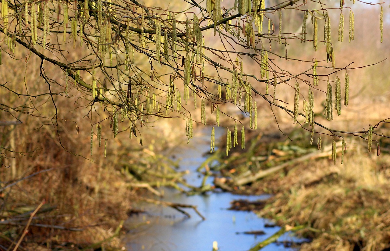 Gewässerunterhaltung, Saison, Herbst, Winter, Gräben, Bäche, Bergedorf, Hamburg