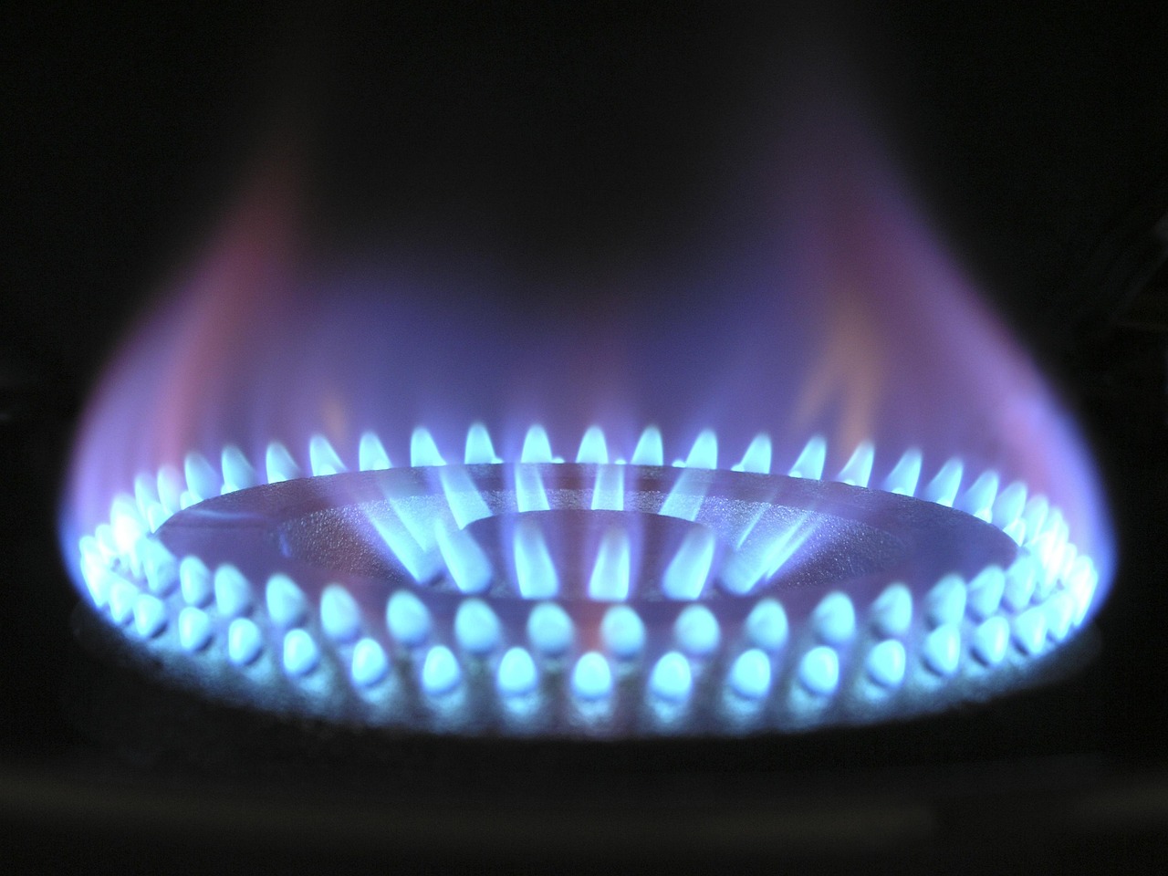 Energietag, Bergedorf-West, Westibül, Sparen, Nachhaltigkeit, Mieter, Eigentümer, Hamburg
