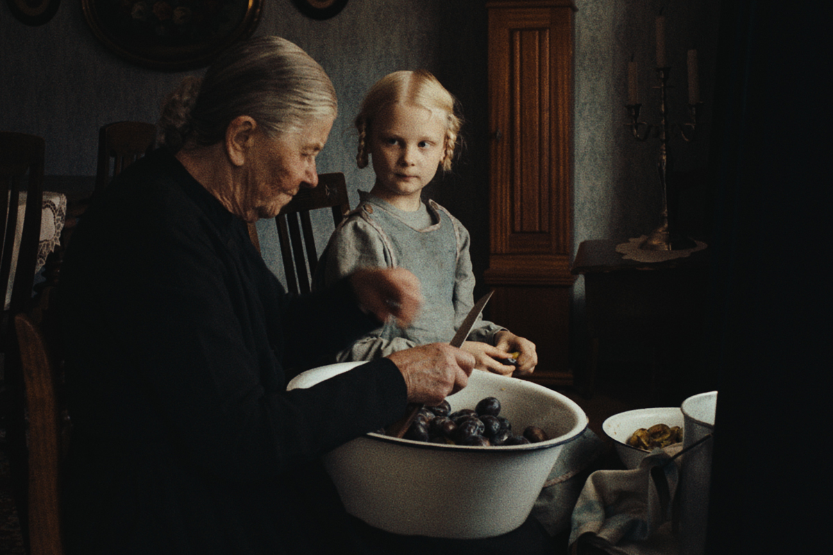 Filmclub Bergedorf, Haus im Park, Kinofilme, Begegnungszentrum, Start Februar 2026, Startfilm, In die Sonne schauen