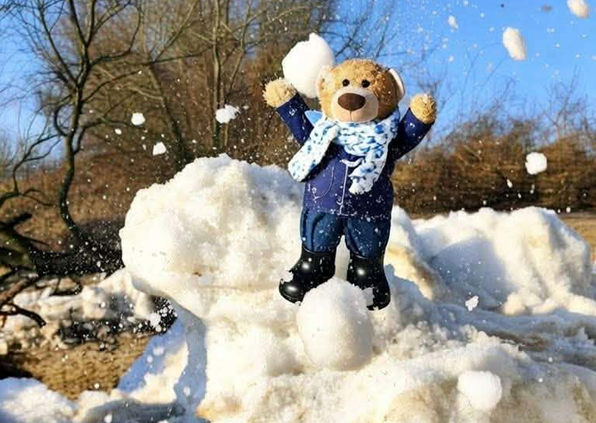 Geesthachter Plaudertaschen, Facebook-Gruppe, Eisberge, Naturgewalten, Schönstes Foto gesucht