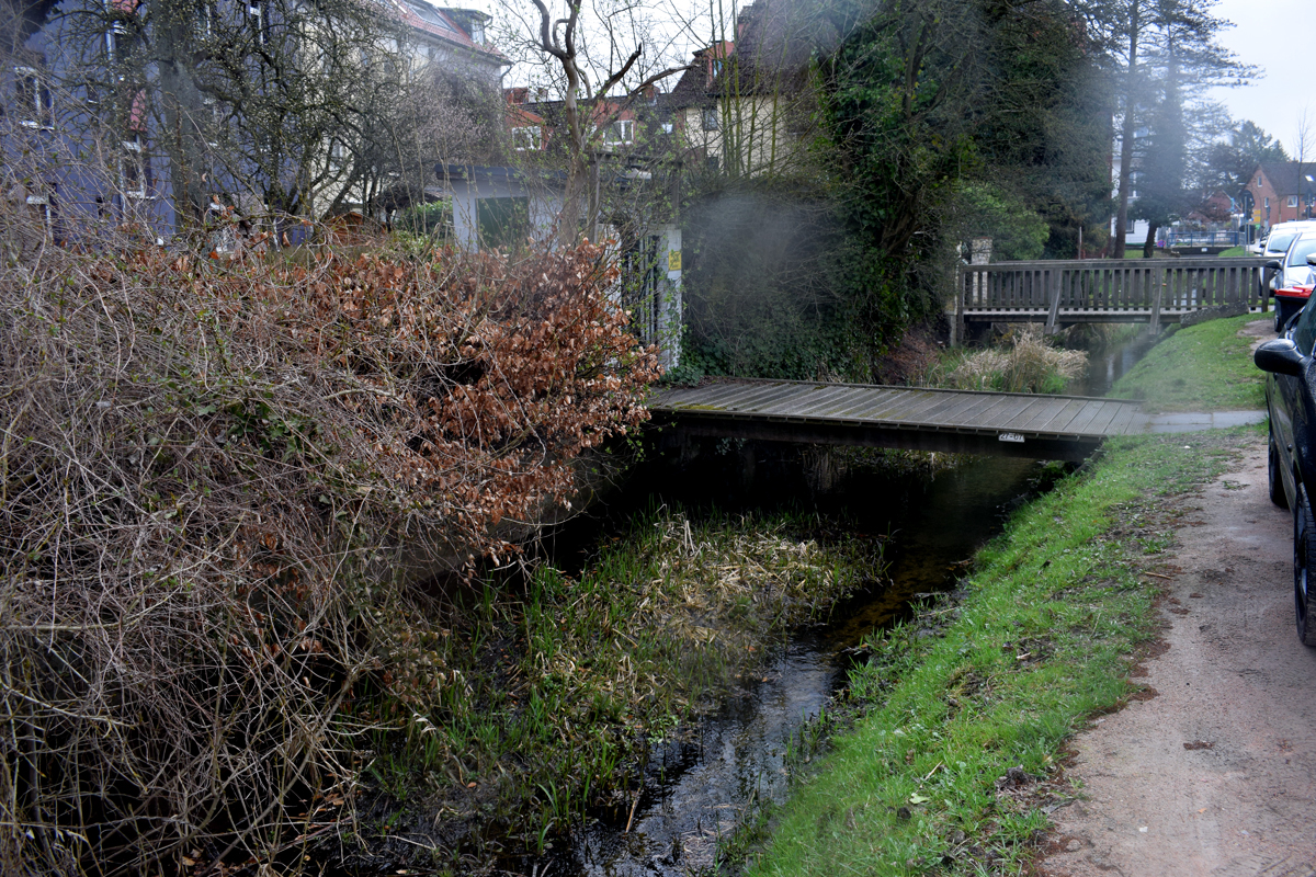 Brookwetterung, Bergedorf-Süd, Nutriaplage, Vermehrung, Stadtjäger, Biberratten, Beratung