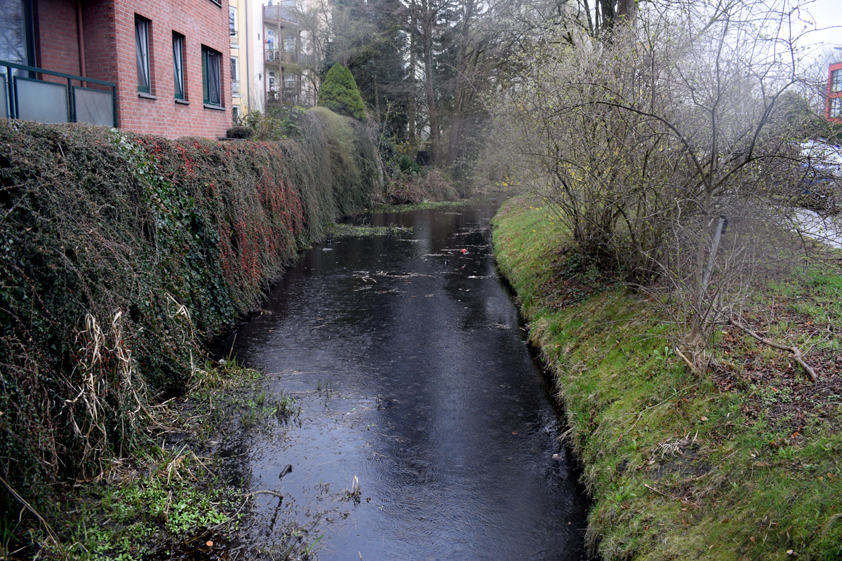 Brookwetterung, Bergedorf-Süd, Nutriaplage, Vermehrung, Stadtjäger, Biberratten, Beratung