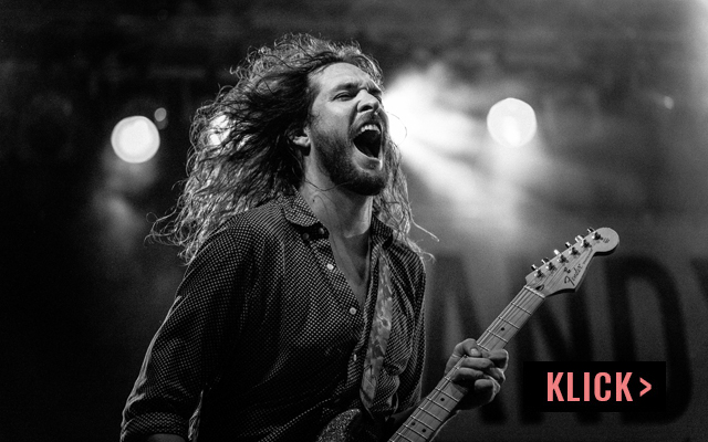 BANDS, MUSIKER & KONZERTE