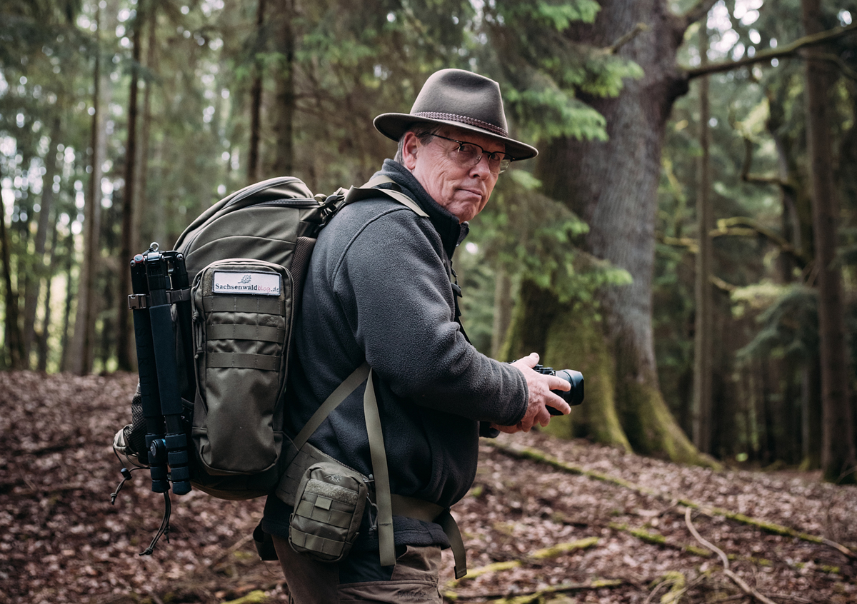Sachsenwaldblog, Ausstellung, Harald Lemke, Rathaus Bergedorf, Wald, Fotografien, Bäume